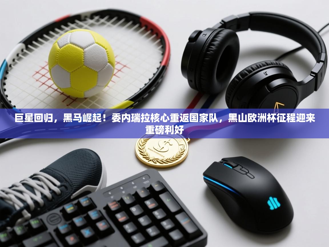 巨星回归，黑马崛起！委内瑞拉核心重返国家队，黑山欧洲杯征程迎来重磅利好  第1张